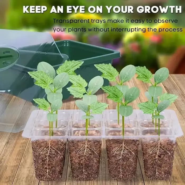 Boîte à semis multifonctionnelle pour jardinage