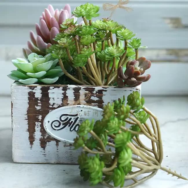 Plantes succulentes artificielles vertes, maison, jardin, chambre à coucher, balcon, Table de bureau, Mini bonsaï, décoration de fête de mariage, fausses plantes
