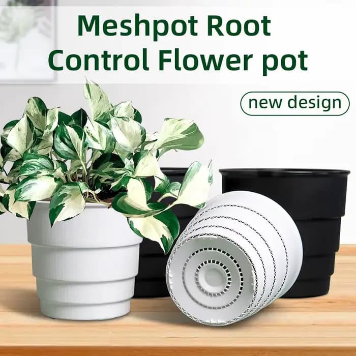 Pot de fleurs en meshpot pour plantes domestiques