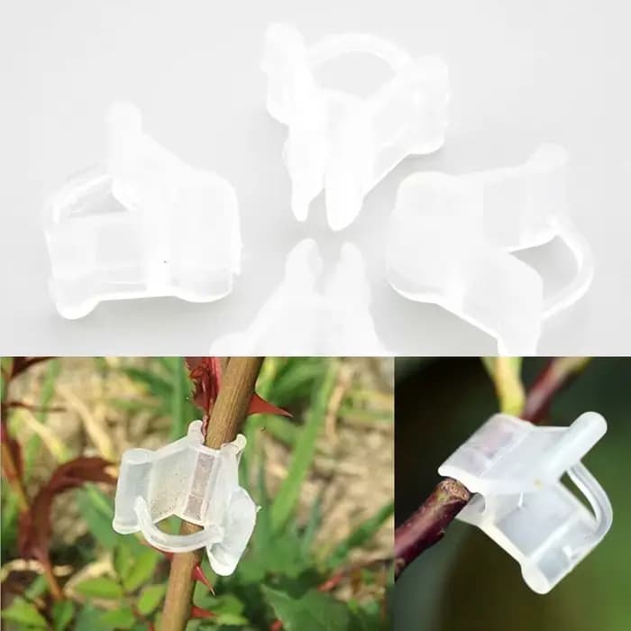 Clips de Greffe de Jardin en Plastique Transparent, Outils d'Ornements de user inage, Plantes de Fle