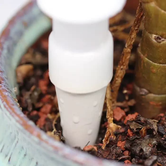 Système de dispositif d'arrosage goutte-à-goutte, outil d'arrosage de fleurs pour Pot de plantes d'i