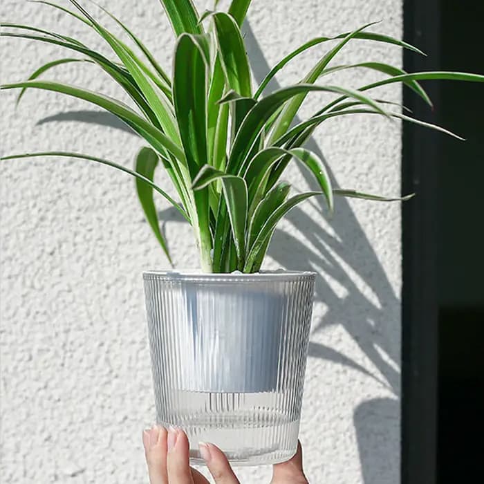 Pot de plante auto-arrosant coloré à effet rayé vertical
