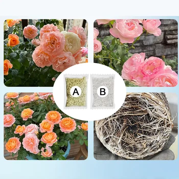 Engrais de jardin A + B pour plantes hydroponiques concentrées