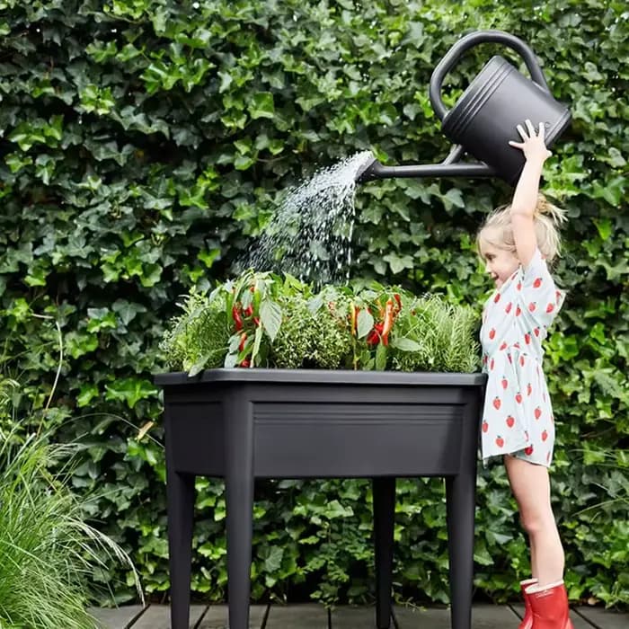Arrosoir en plastique 1L/2L pour plantes de jardin