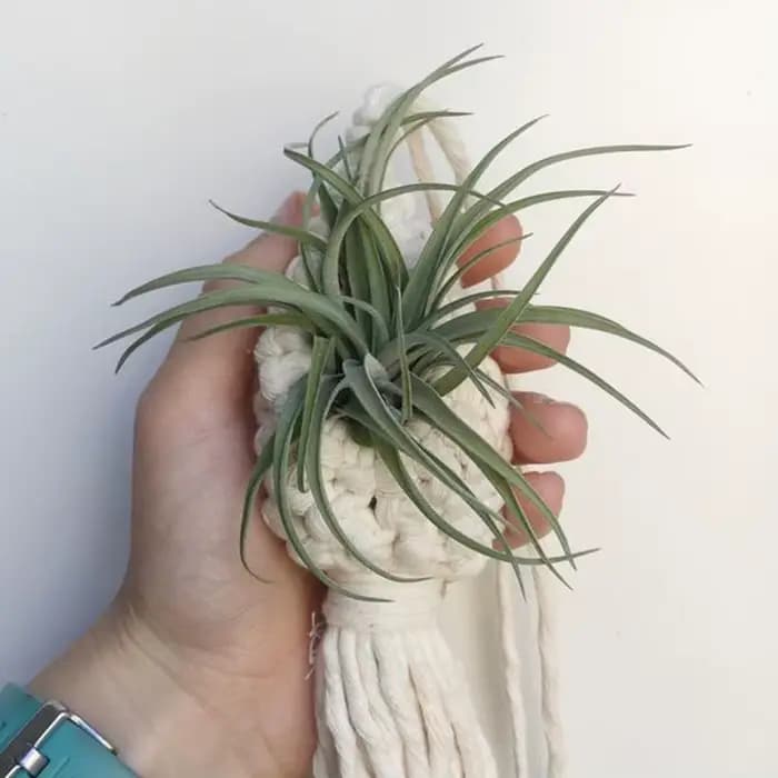Mir en macramé fait à la main pour la décoration intérieure, cintre pour plantes vertes, pot de fleurs, jardinière de jardin, filet de tapisserie, sac