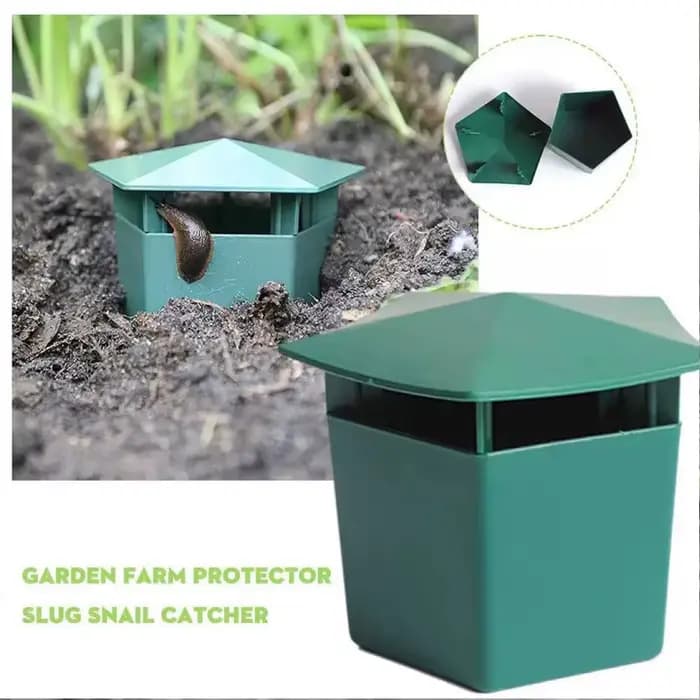 Piège à escargots, attrape-insectes pour vergers, fournitures de jardin pour légumes, accessoires ré