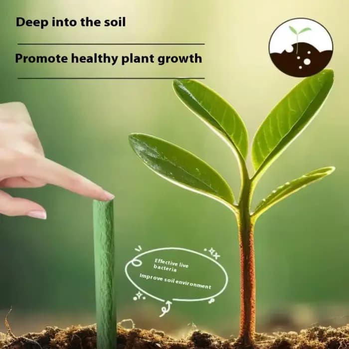 Bâtonnets d'engrais universels pour plantes en pot d'intérieur