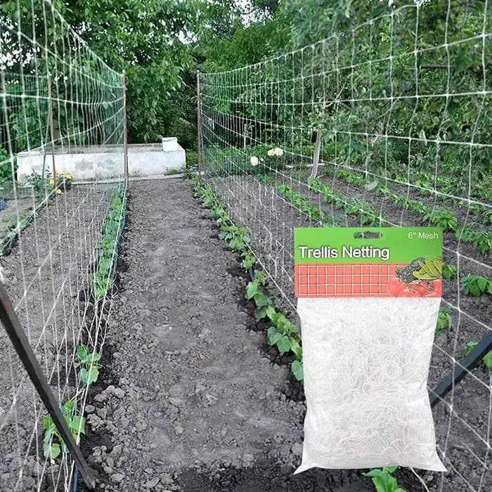 Filet en treillis pour plantes de jardin, support pour plantes, escalade de vigne, accessoires hydro