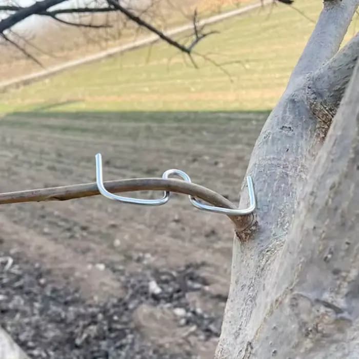 Kit d'outils de pliage de branches d'arbres fruitiers, 50 pièces, outils manuels de pliage de branches pour la mise en forme et l'écartement, outils de culture pour vergers