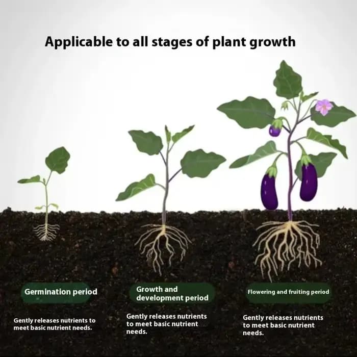 Bâtonnets d'engrais universels pour plantes en pot d'intérieur
