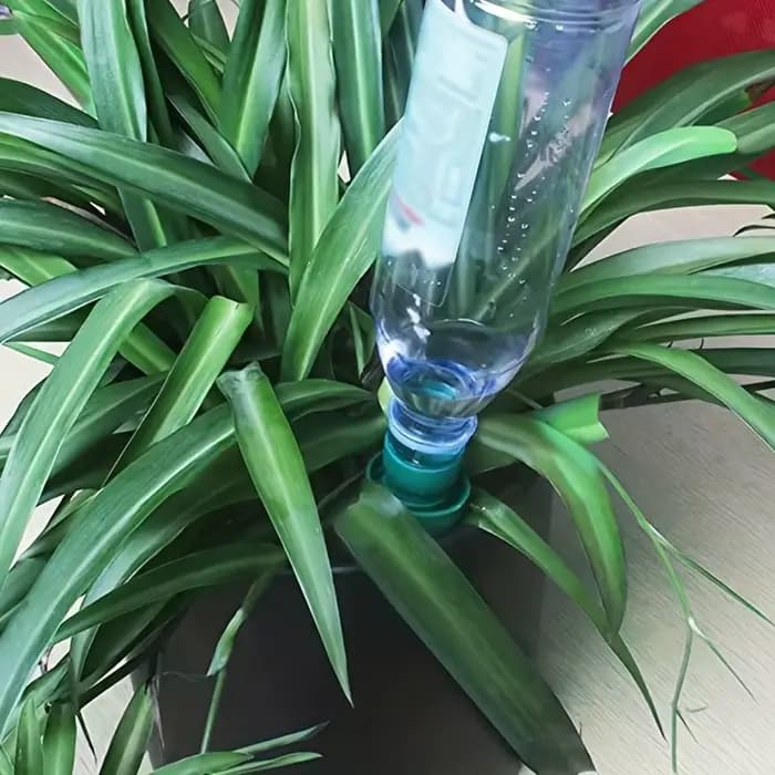 1 dispositif d'arrosage pour plantes d'intérieur domestiques