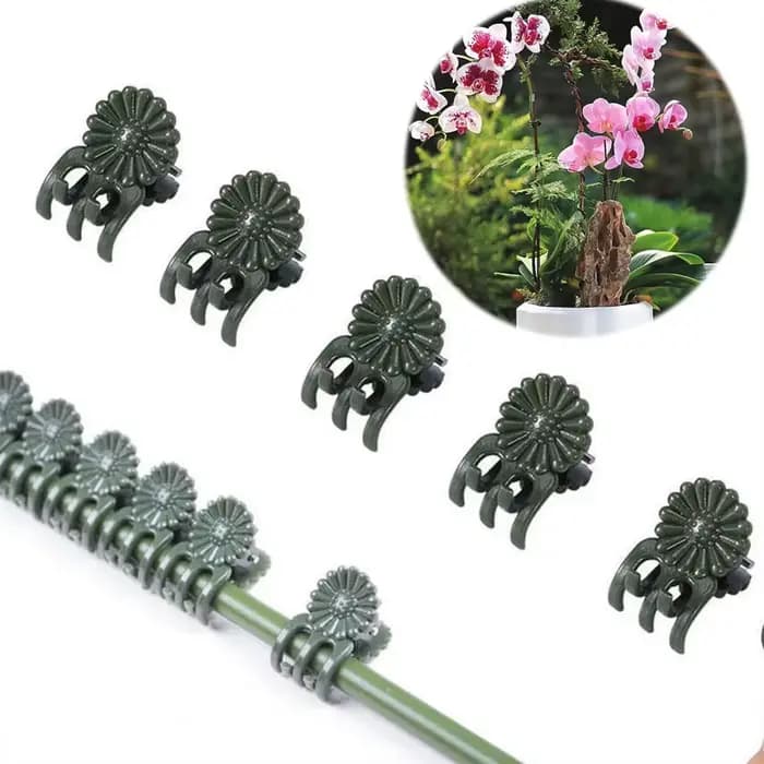 Pinces à Plantes de Vigne, Support pour Greffe de Tomate, Papillon, Orchidée, Fleurs, Accessoires de