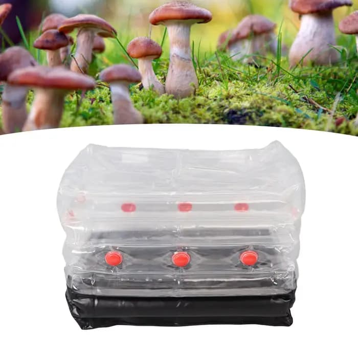 Kit de culture de champignons, Kit Monotub de champignons, Kit de culture de champignons gonflable p