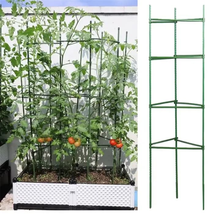Piquets de plantes de jardin, 12 pièces, cages de plantes pour soutenir la croissance des plantes, c