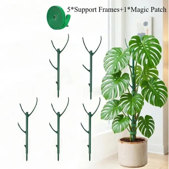 Supports pour plantes Monstera