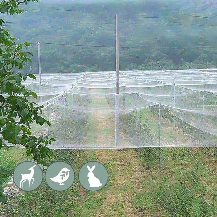 Filet Anti-oiseaux 3x1-20M, barrière antiparasitaire extérieure pour jardin, filet de Protection en