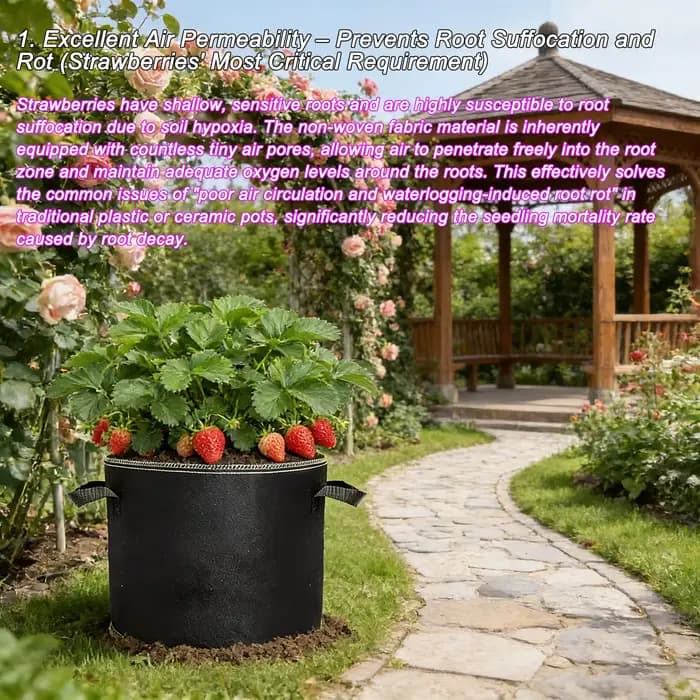 Sacs de culture de fraises de 3 gallons, 68 pièces, avec poignées, accessoires de jardin, sacs de pl
