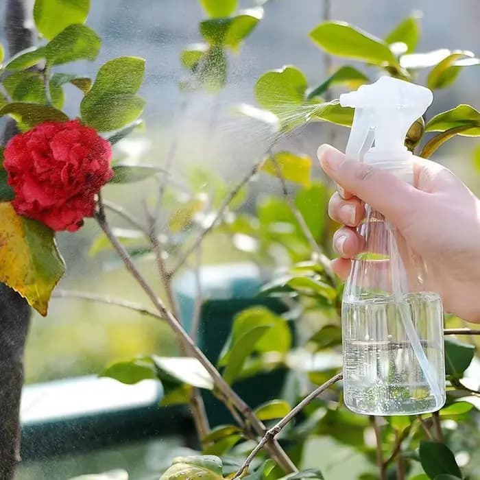 Flacon pulvérisateur en plastique de 200ml, 1 à 9 pièces, flacon pulvérisateur vide transparent, pul