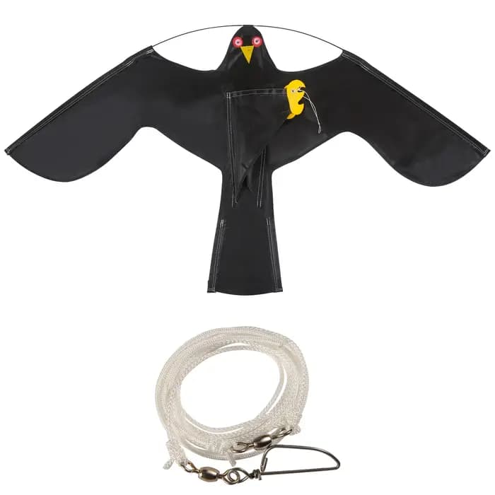 Répulsif pour oiseaux, faucon volant