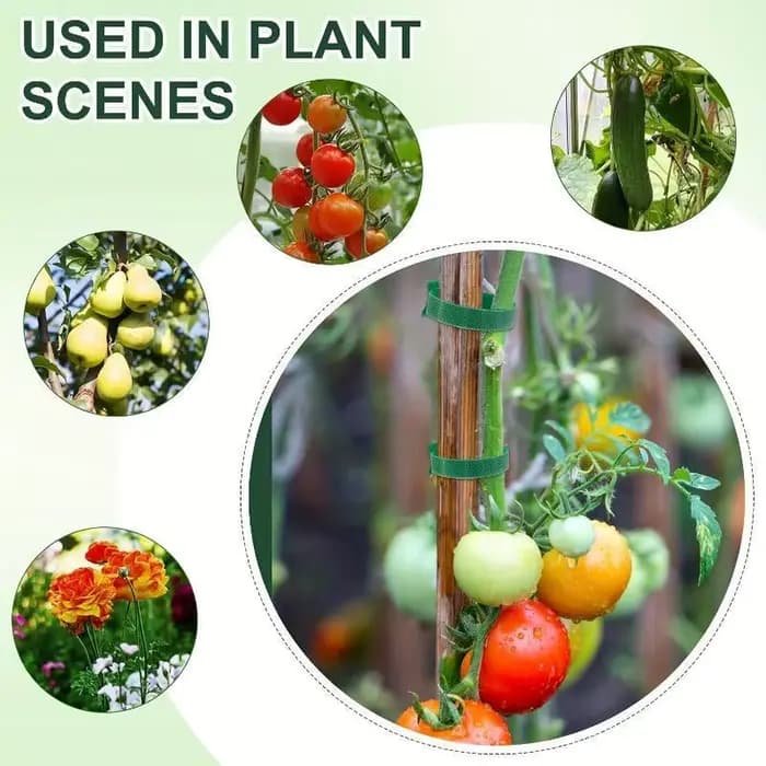 Attaches pour plantes en nylon antidérapantes réutilisables, avec attaches auto-agrippantes, réglabl