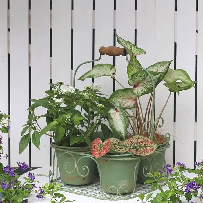 Ins rétro jardin fleur ferronnerie faire vieille plante bassin multi grille conception succulente conteneur pour balcon cour bonsaï Pot
