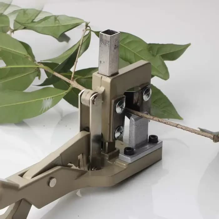 Grand outil de greffage professionnel, coupe-branches de jardin, sécateur de plantes, optique, ciseaux et phérique