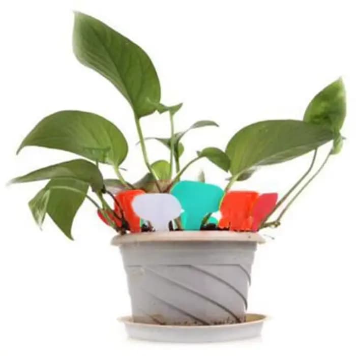 Étiquettes de plantes de jardin pour pépinière, 50 pièces, marqueurs de piquet réutilisables, plaque