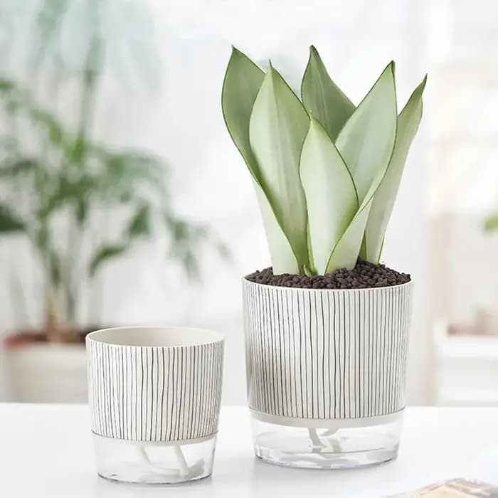 Pot de plantes transparent auto-arrosant, plantes vertes, décoration de bonsaï pour la maison, pot à fleurs paresseux avec réservoir d'eau, fournitures de jardinage