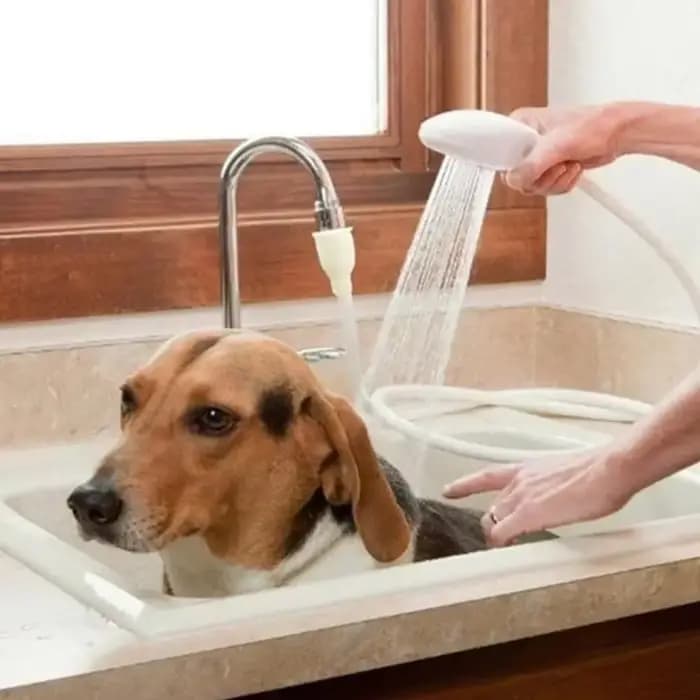 Arroseur portatif de fixation de robinet de baignoire de pomme de douche d'éclaboussure pour le lava