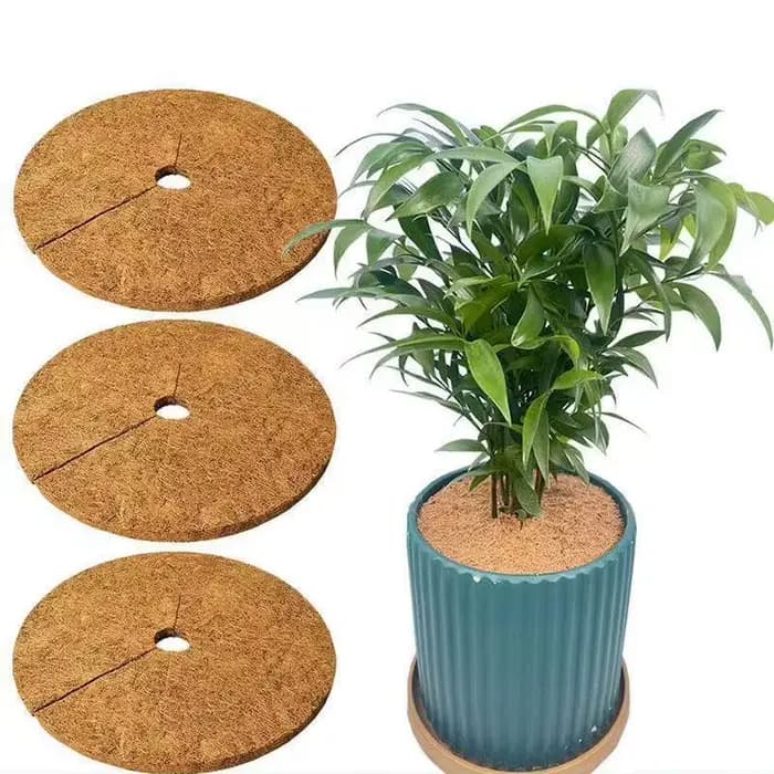 Lot de 3 tapis de paillis en coco pour pot de fleurs