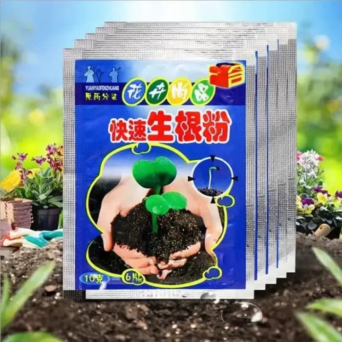 Poudre d'enracinement rapide pour plantes, 5 pièces, Agent d'enracinement rapide, Hormone, croissanc