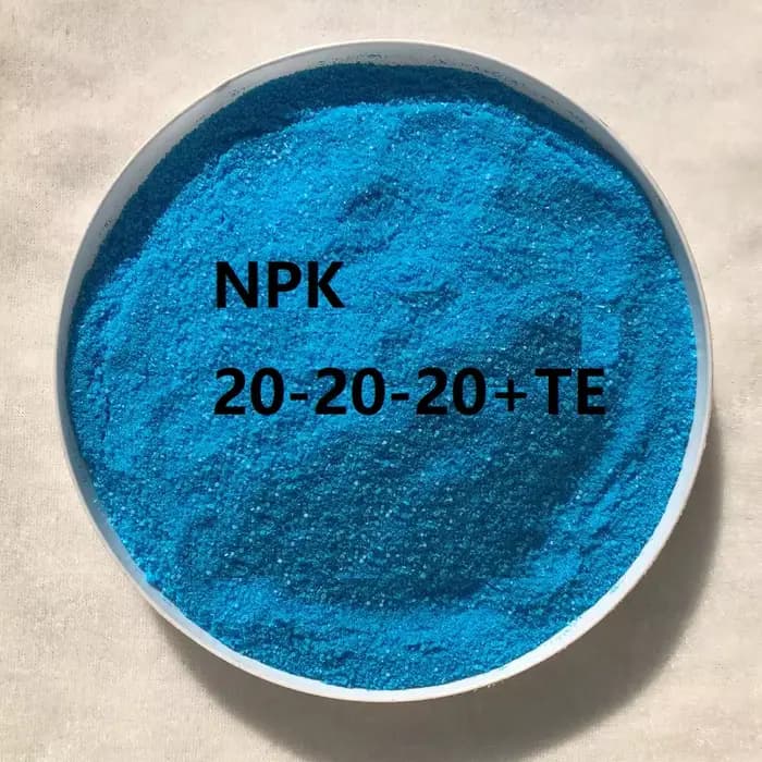 Navigateur soluble dans l'eau, composé Npk 20-20 + Te