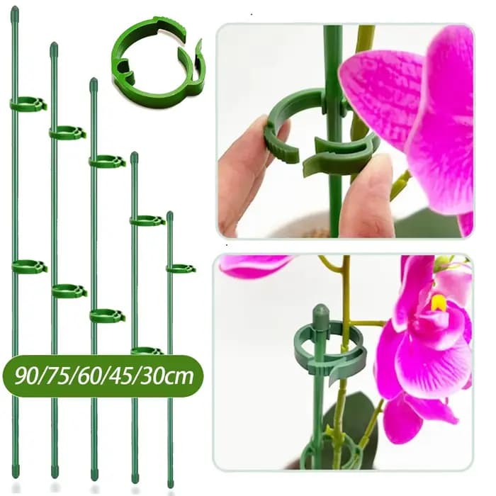 Piquets de Support pour plantes 90/60/30cm, réglables pour jardin, tige unique, Support de fleurs, b