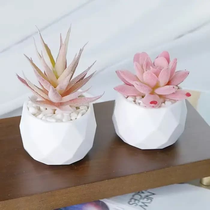 2 pièces de bonsaïs succulents artificiels avec pot