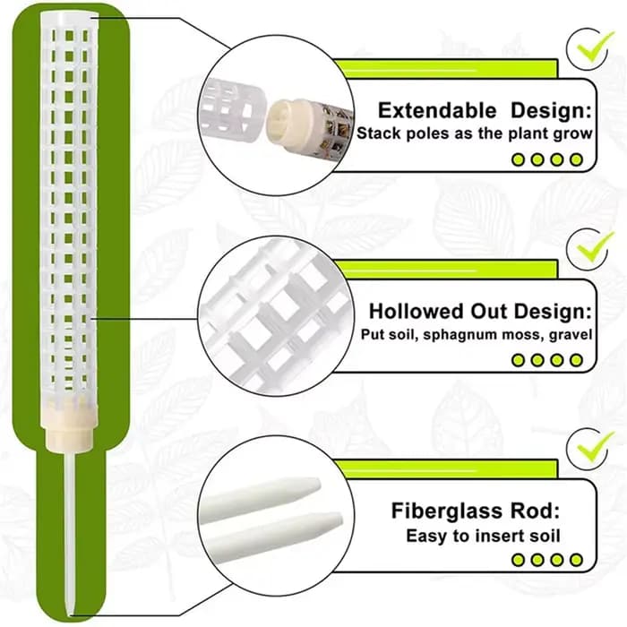 Bâton d'escalade pour plantes, Support pour plantes sphagnes, cadre en treillis, colonne de mousse d