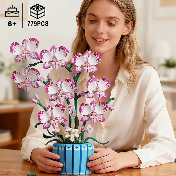 Pot d'orchidée, plante en pot