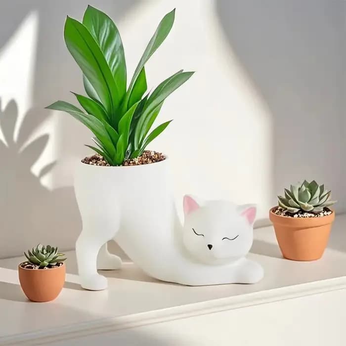 Pot de fleurs créatif en forme de queue de chat mignon de dessin animé pour plantes succulentes et cactus