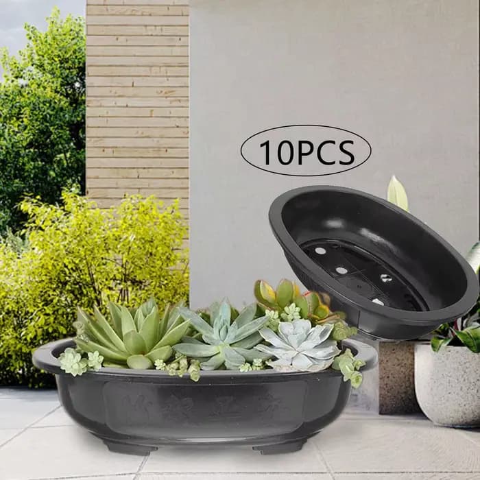 10 pièces Pots d'entraînement de bonsaï Pot de jardinière