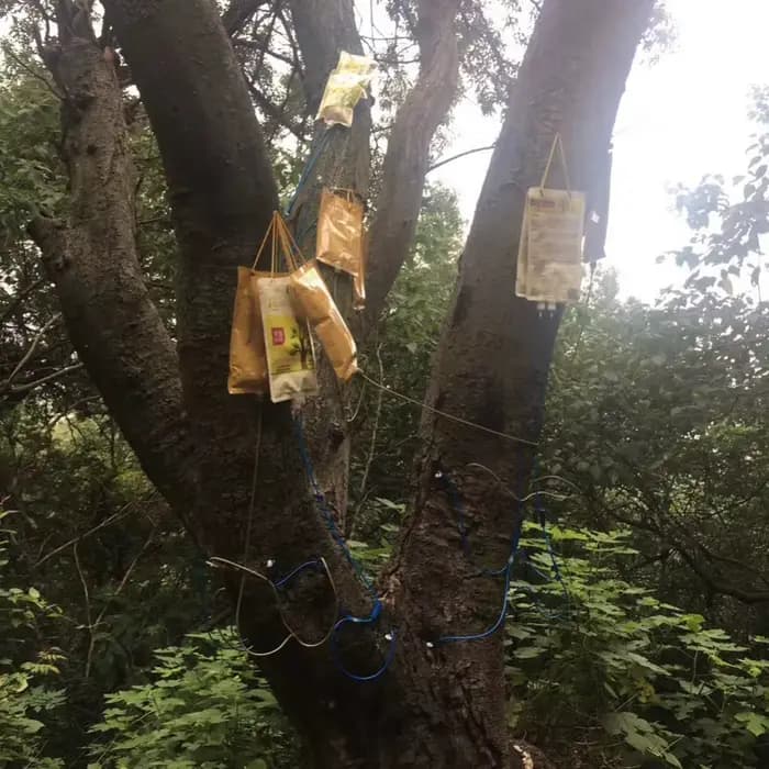 Tube d'infusion à aiguille suspendue pour grand arbre de 1000ML, sac d'arrosage de jardin, dispositi