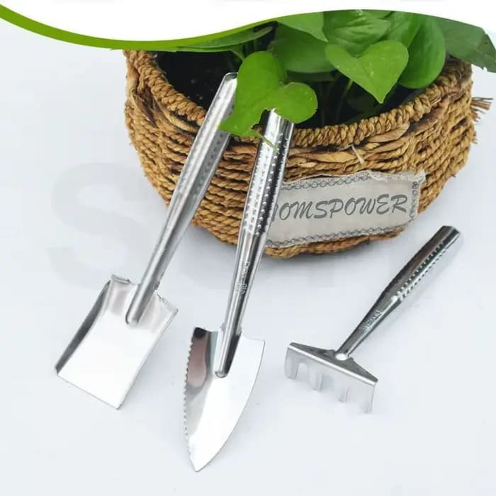 Spatule de jardinage en acier inoxydable pour bonsaï