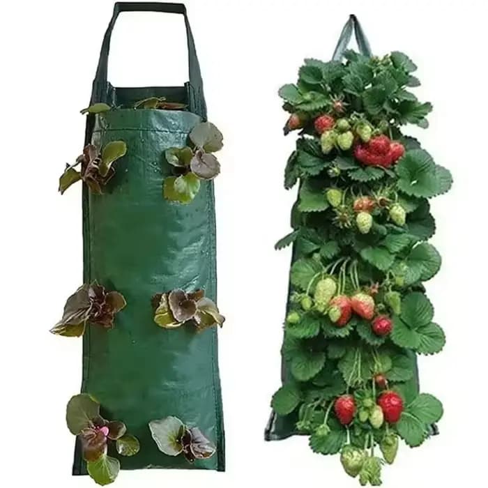 Sac de plantation vertical pour fraises à 4/6/8/10 trous