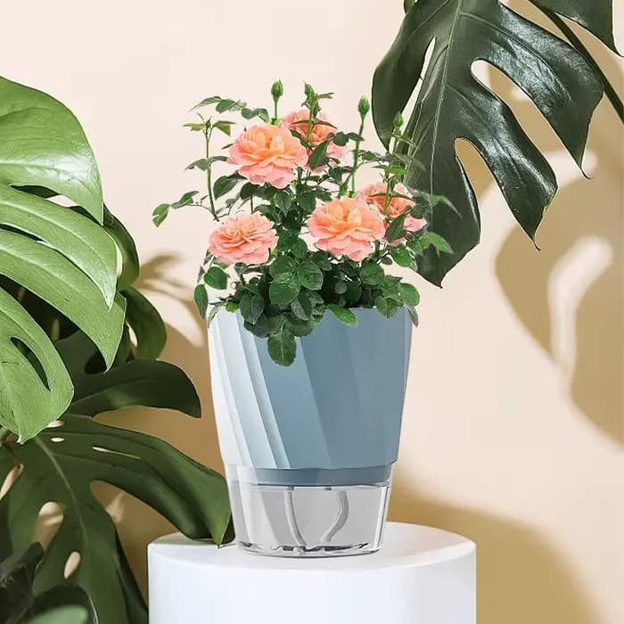 Pots de fleurs hydroponiques auto-arrosants pour plantes