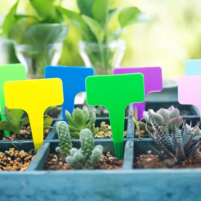 Marqueurs de plantes en plastique PVC blanc de type T, 6x10cm, 20/100 pièces, pour pépinière, jardin