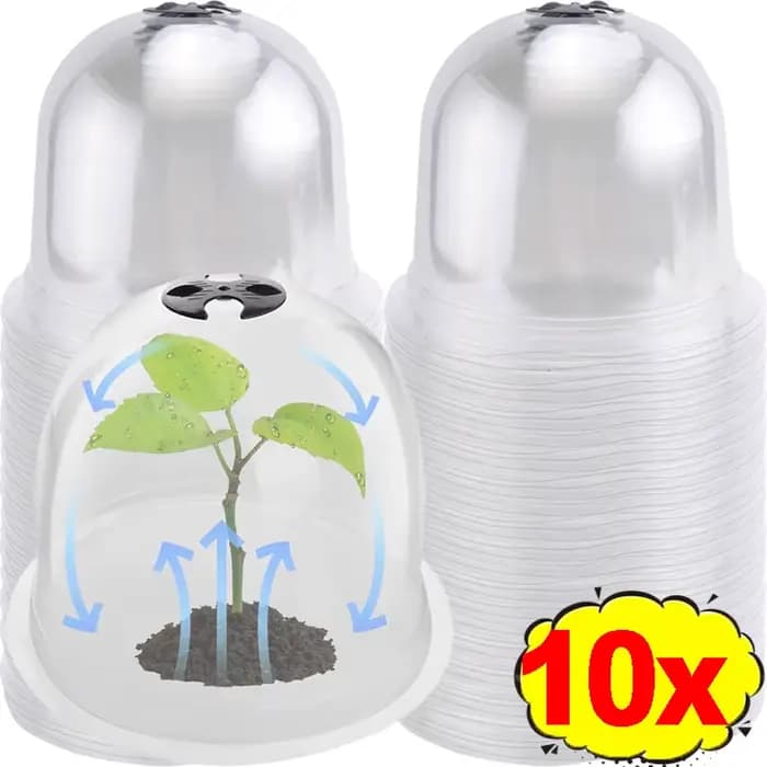Mini cloches de serre en plastique réutilisables