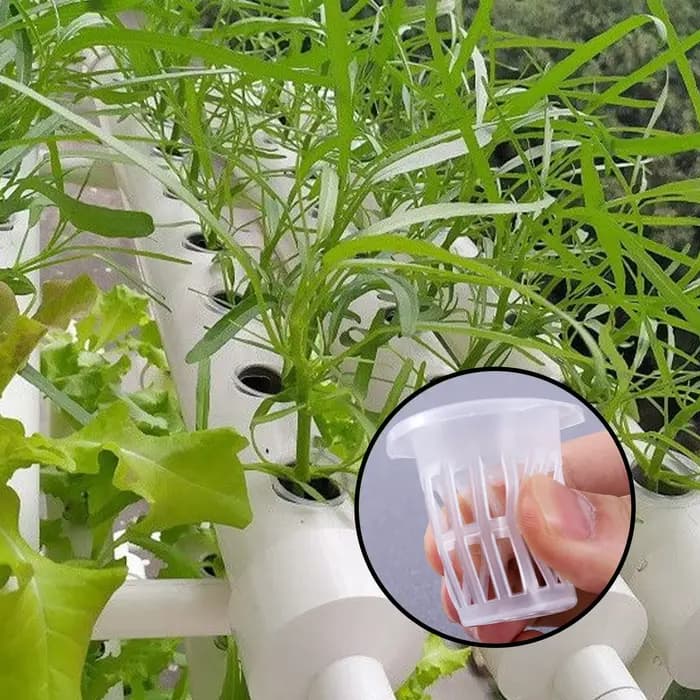 10/50 pièces panier de culture hydroponique conteneur de croissance des plantes jardin tasse à fente