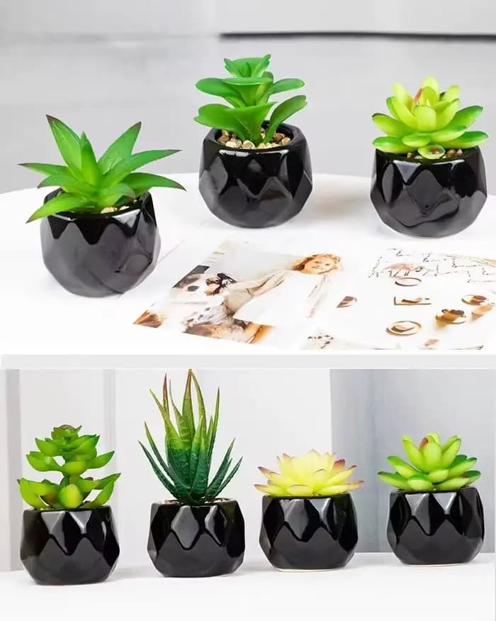 Plantes bonsaï succulentes artificielles avec Pot en poterie
