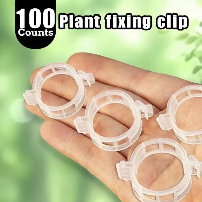 Clips de maintien de vigne réutilisables en plastique