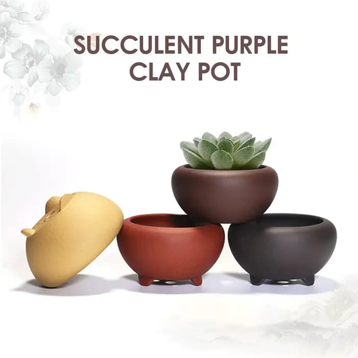 Pot de fleurs succulentes en grès pour la maison