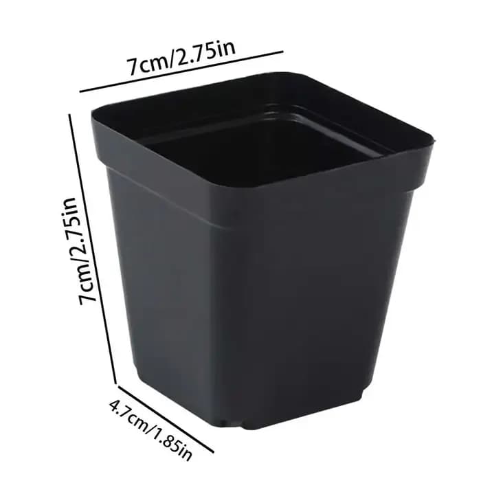 Pots de semis 50 pièces carrés plante semis-gobelet de plantation en plastique pépinière profonde arbre Pot fleur