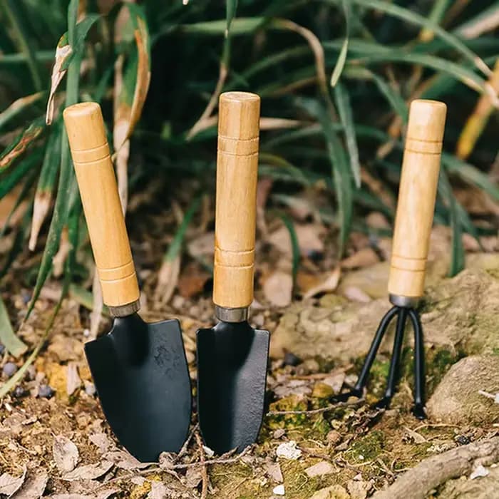 Mini kit d'outils de jardinage de bureau – Ensemble de 3 petits outils à main (truelle et râteau) pour plantes en pot